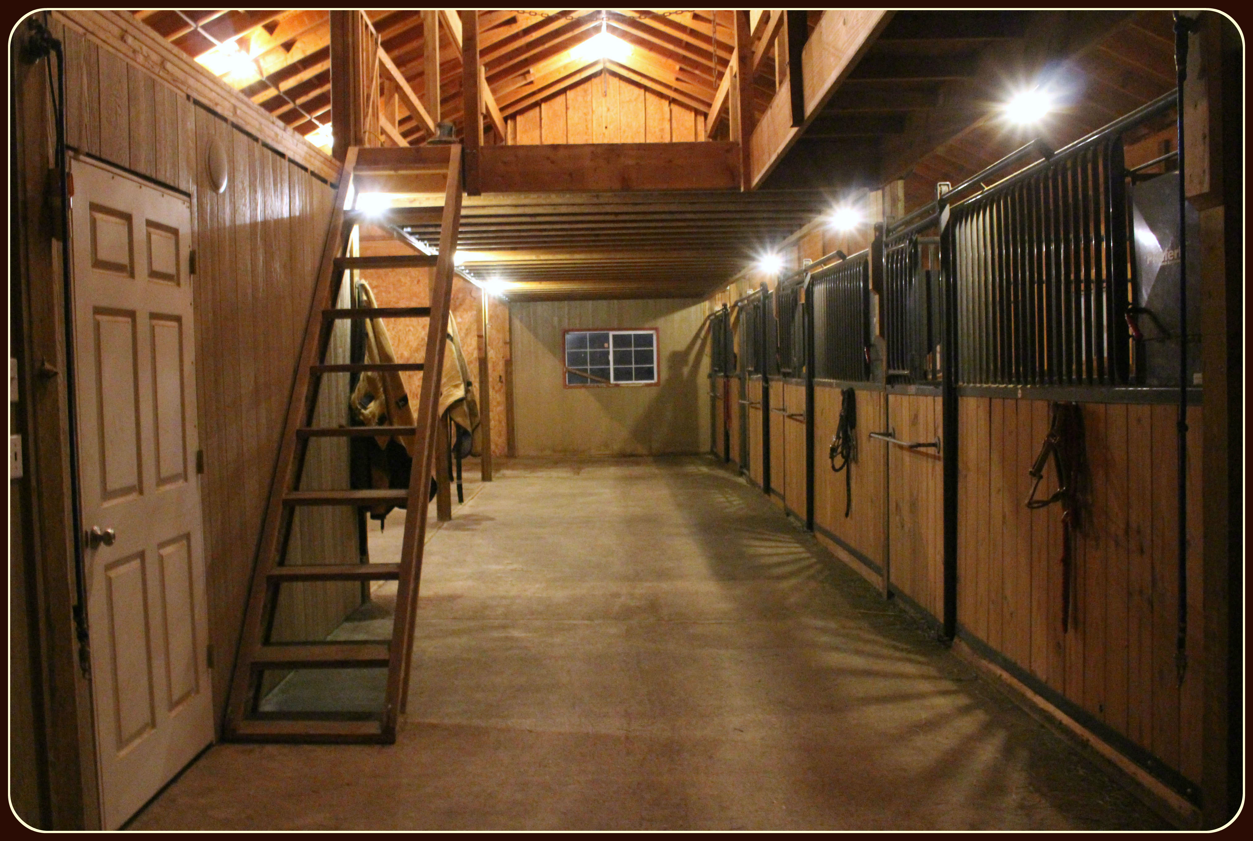 Simple Tips for Staging a Horse Property